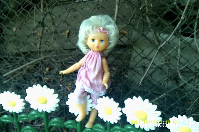 Eva1949 - Дом мечты-души моей воспоминания; 1Abrikoska - Мой гостеприимный дом