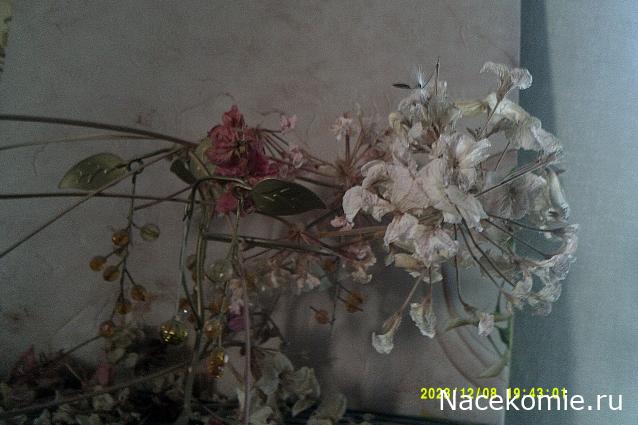 Eva1949 - Дом мечты-души моей воспоминания; 1Abrikoska - Мой гостеприимный дом