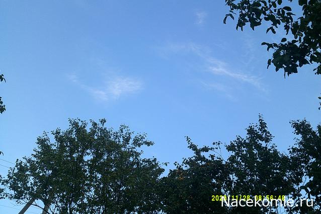 Eva1949 - Дом мечты-души моей воспоминания; 1Abrikoska - Мой гостеприимный дом