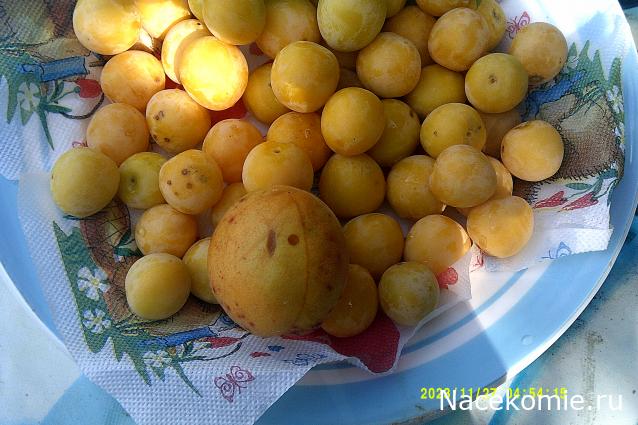 Eva1949 - Дом мечты-души моей воспоминания; 1Abrikoska - Мой гостеприимный дом