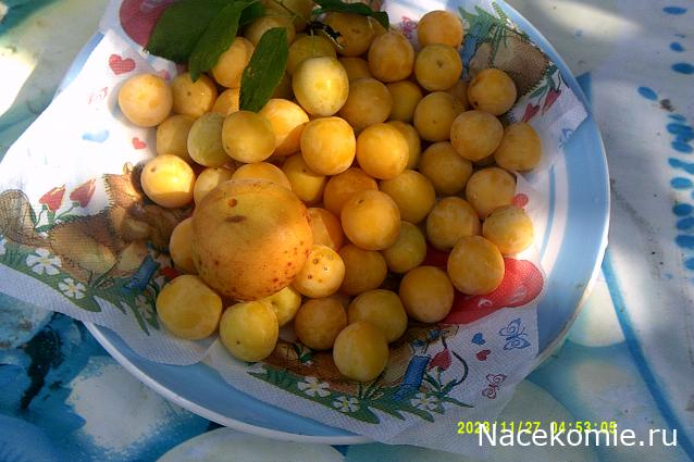 Eva1949 - Дом мечты-души моей воспоминания; 1Abrikoska - Мой гостеприимный дом