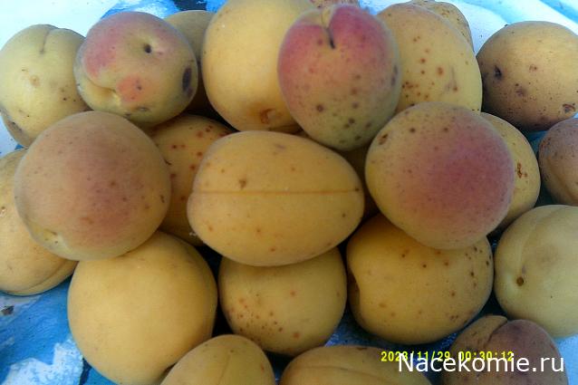 Eva1949 - Дом мечты-души моей воспоминания; 1Abrikoska - Мой гостеприимный дом