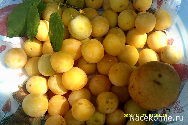 Eva1949 - Дом мечты-души моей воспоминания; 1Abrikoska - Мой гостеприимный дом