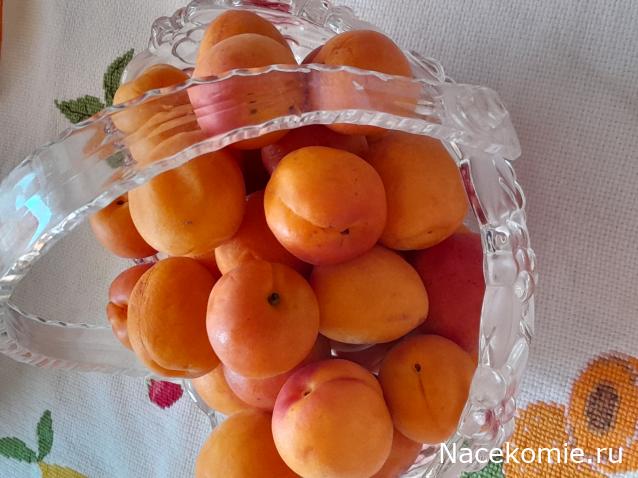 Liana65-Snegana - Мой будущий дом и его обитатели.