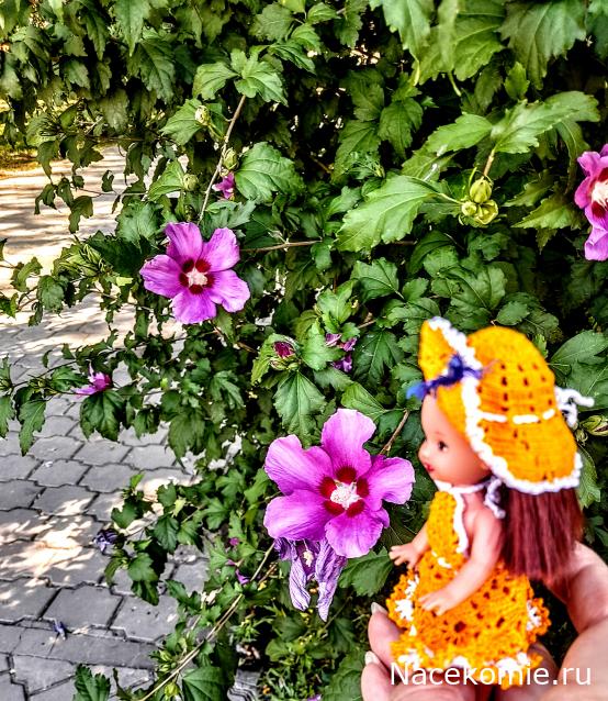 Liana65-Snegana - Мой будущий дом и его обитатели.