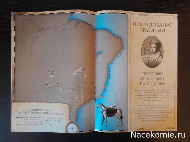Первооткрыватели и путешественники России