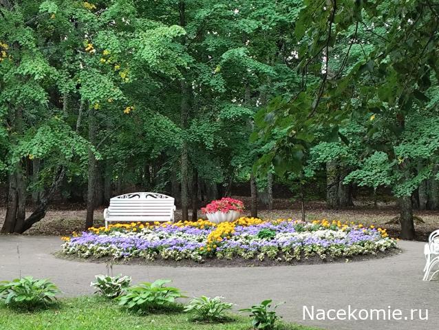 Мой любимый город или дорогие сердцу места