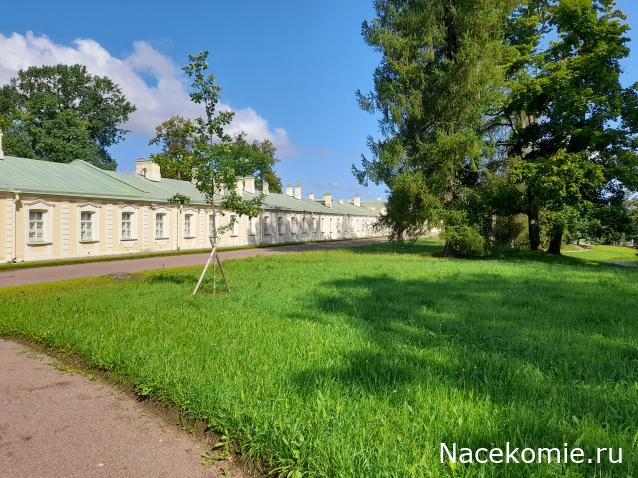 Тракторная болталка