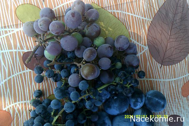 Eva1949 - Дом мечты-души моей воспоминания; 1Abrikoska - Мой гостеприимный дом