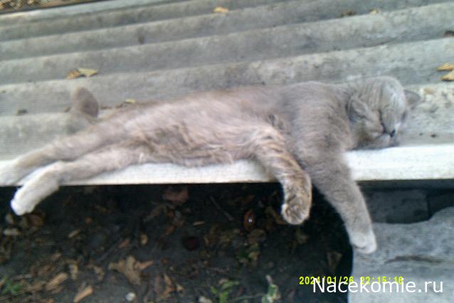 Eva1949 - Дом мечты-души моей воспоминания; 1Abrikoska - Мой гостеприимный дом