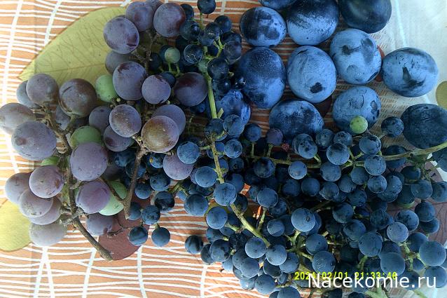 Eva1949 - Дом мечты-души моей воспоминания; 1Abrikoska - Мой гостеприимный дом