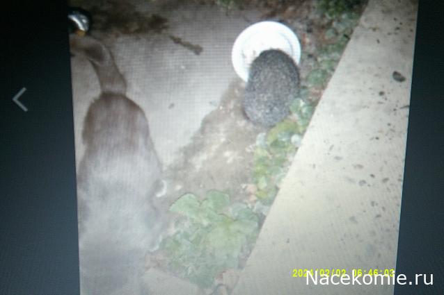 Eva1949 - Дом мечты-души моей воспоминания; 1Abrikoska - Мой гостеприимный дом