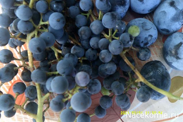 Eva1949 - Дом мечты-души моей воспоминания; 1Abrikoska - Мой гостеприимный дом