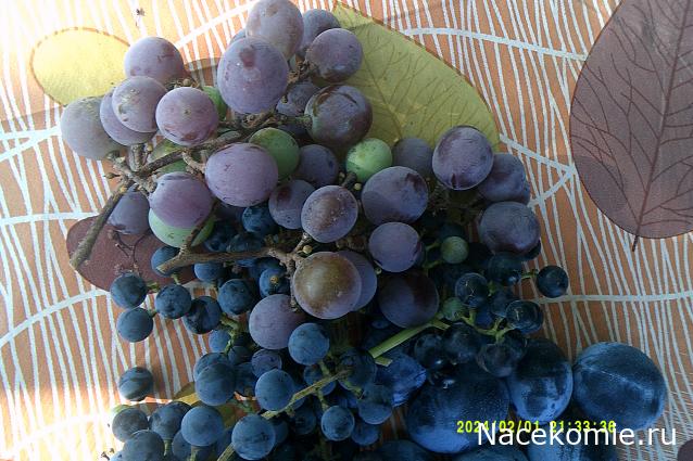 Eva1949 - Дом мечты-души моей воспоминания; 1Abrikoska - Мой гостеприимный дом