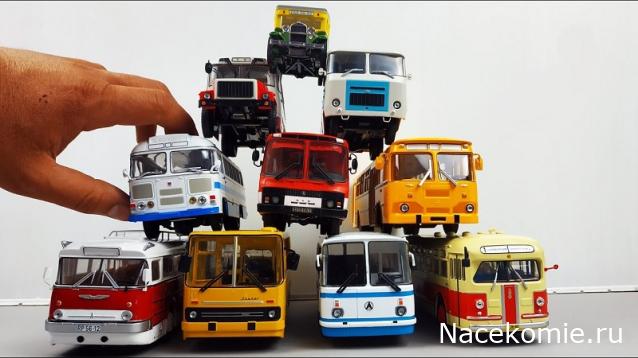 Праздник каждый день - поздравлялка Авторазделов