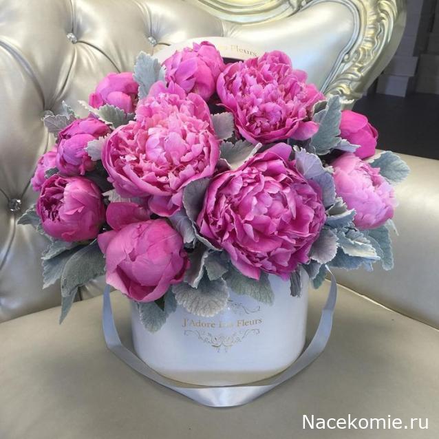 Eva1949 - Дом мечты-души моей воспоминания; 1Abrikoska - Мой гостеприимный дом