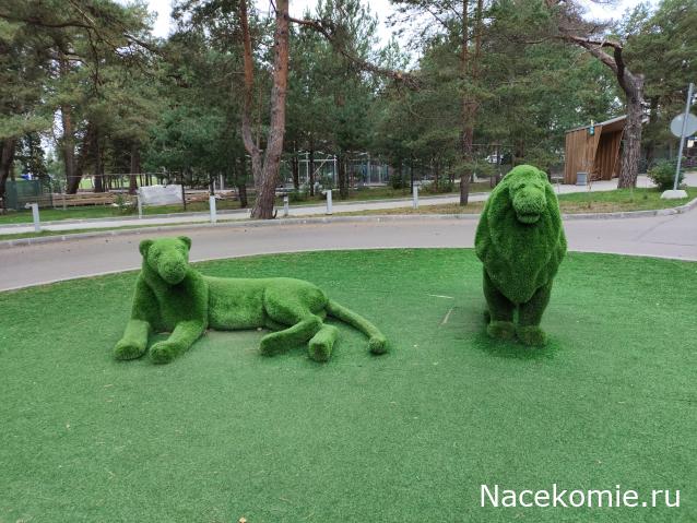 Мой любимый город или дорогие сердцу места
