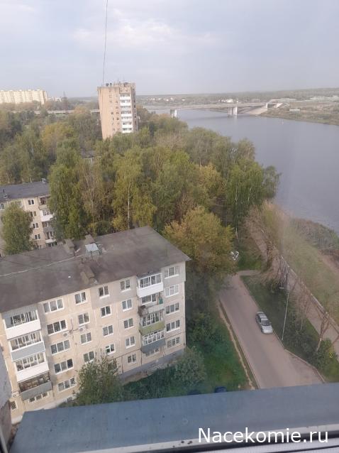 Margaritka