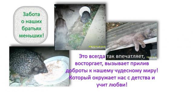 Eva1949 - Дом мечты-души моей воспоминания; 1Abrikoska - Мой гостеприимный дом