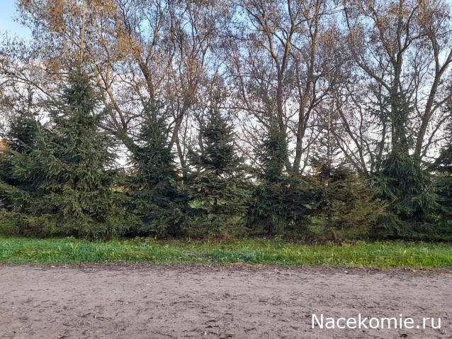 Eva1949 - Дом мечты-души моей воспоминания; 1Abrikoska - Мой гостеприимный дом