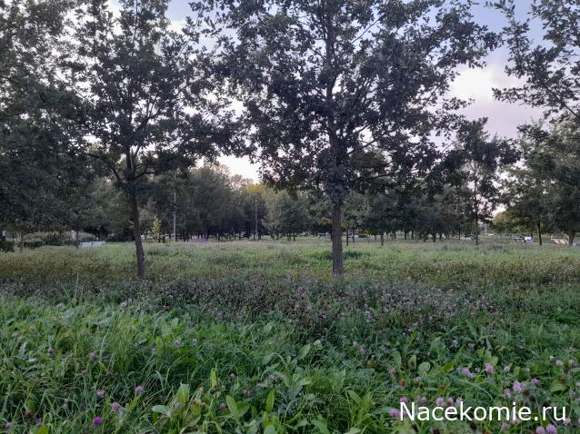 Eva1949 - Дом мечты-души моей воспоминания; 1Abrikoska - Мой гостеприимный дом