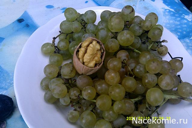 Eva1949 - Дом мечты-души моей воспоминания; 1Abrikoska - Мой гостеприимный дом