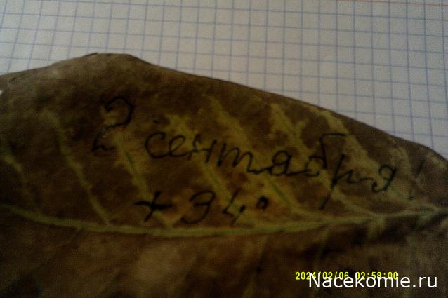 Eva1949 - Дом мечты-души моей воспоминания; 1Abrikoska - Мой гостеприимный дом