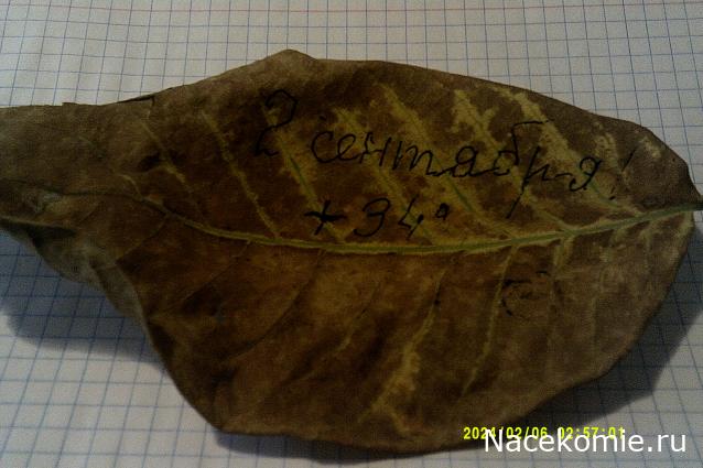 Eva1949 - Дом мечты-души моей воспоминания; 1Abrikoska - Мой гостеприимный дом