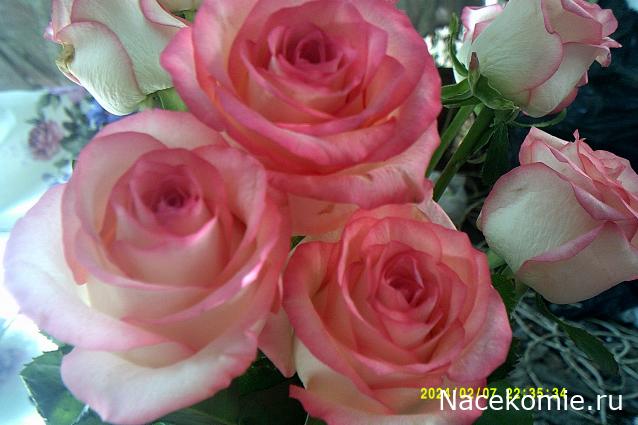 Eva1949 - Дом мечты-души моей воспоминания; 1Abrikoska - Мой гостеприимный дом