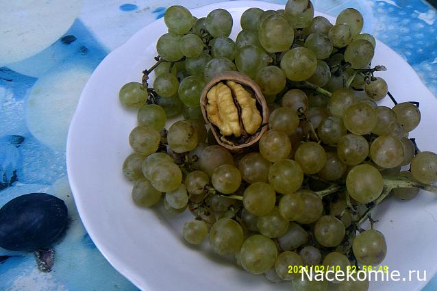 Eva1949 - Дом мечты-души моей воспоминания; 1Abrikoska - Мой гостеприимный дом