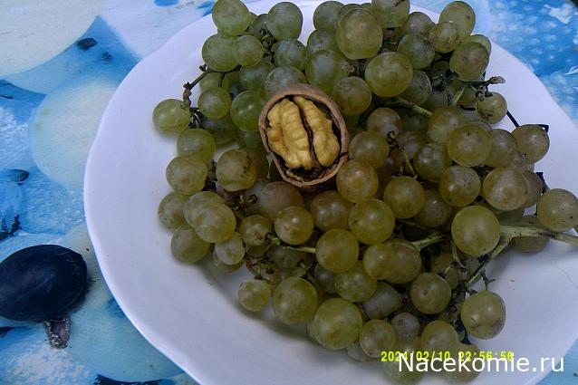 Eva1949 - Дом мечты-души моей воспоминания; 1Abrikoska - Мой гостеприимный дом