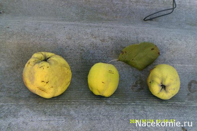 Eva1949 - Дом мечты-души моей воспоминания; 1Abrikoska - Мой гостеприимный дом