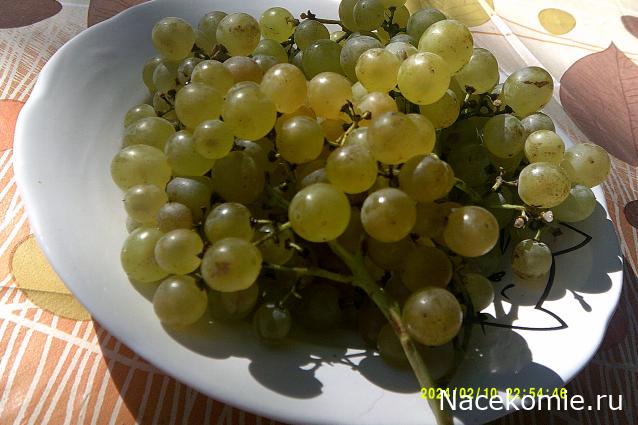 Eva1949 - Дом мечты-души моей воспоминания; 1Abrikoska - Мой гостеприимный дом