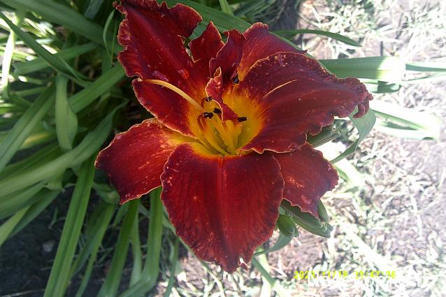 Eva1949 - Дом мечты-души моей воспоминания; 1Abrikoska - Мой гостеприимный дом