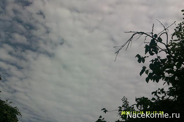 Eva1949 - Дом мечты-души моей воспоминания; 1Abrikoska - Мой гостеприимный дом