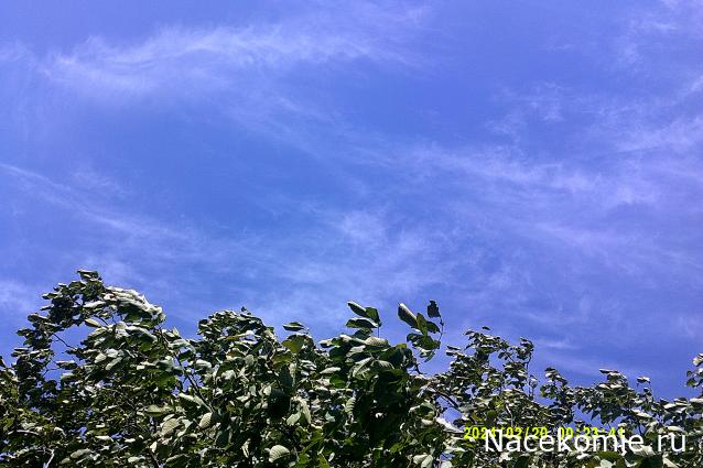 Eva1949 - Дом мечты-души моей воспоминания; 1Abrikoska - Мой гостеприимный дом