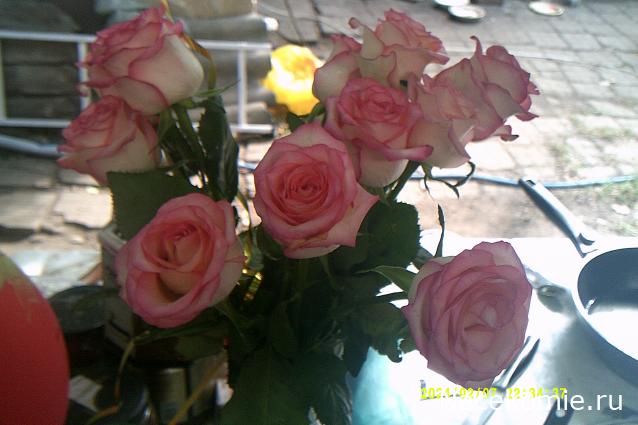 Eva1949 - Дом мечты-души моей воспоминания; 1Abrikoska - Мой гостеприимный дом