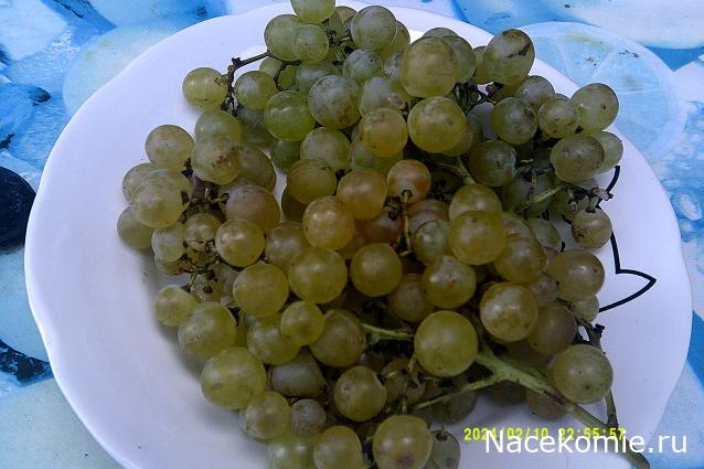 Eva1949 - Дом мечты-души моей воспоминания; 1Abrikoska - Мой гостеприимный дом