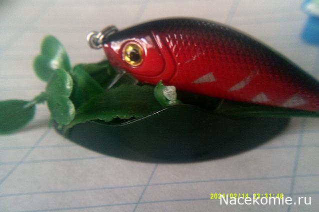 Eva1949 - Дом мечты-души моей воспоминания; 1Abrikoska - Мой гостеприимный дом