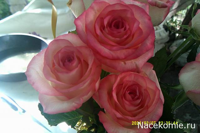 Eva1949 - Дом мечты-души моей воспоминания; 1Abrikoska - Мой гостеприимный дом