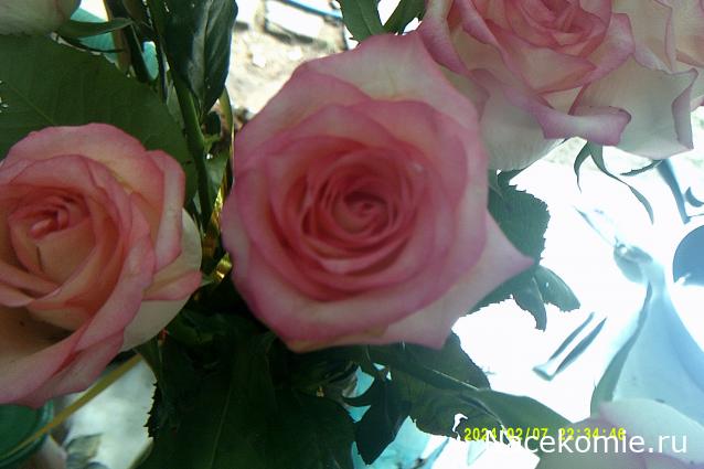 Eva1949 - Дом мечты-души моей воспоминания; 1Abrikoska - Мой гостеприимный дом