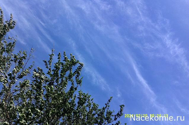 Eva1949 - Дом мечты-души моей воспоминания; 1Abrikoska - Мой гостеприимный дом