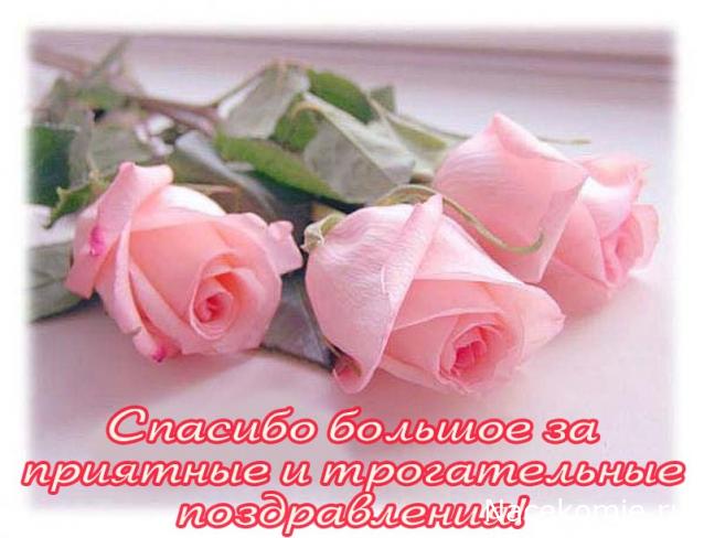 Liana65-Snegana - Мой будущий дом и его обитатели.