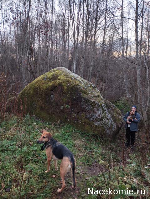 Мой любимый город или дорогие сердцу места