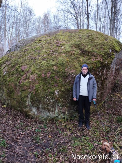 Мой любимый город или дорогие сердцу места