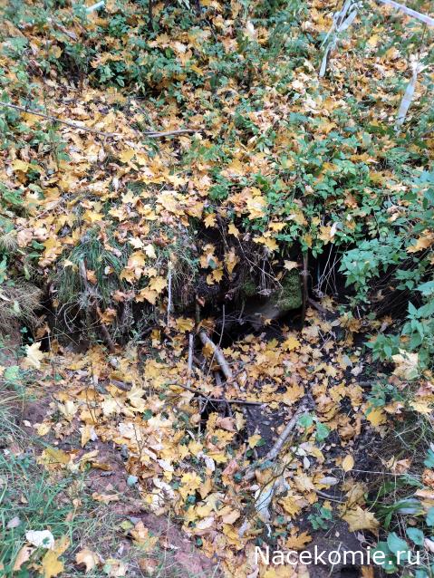 Мой любимый город или дорогие сердцу места