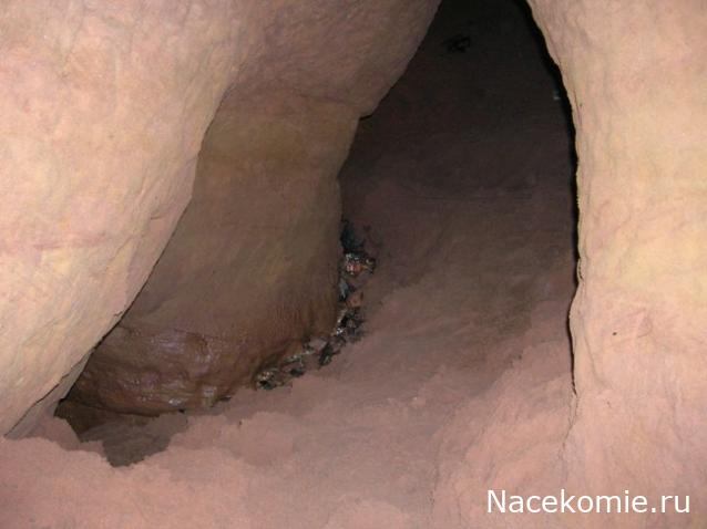 Мой любимый город или дорогие сердцу места