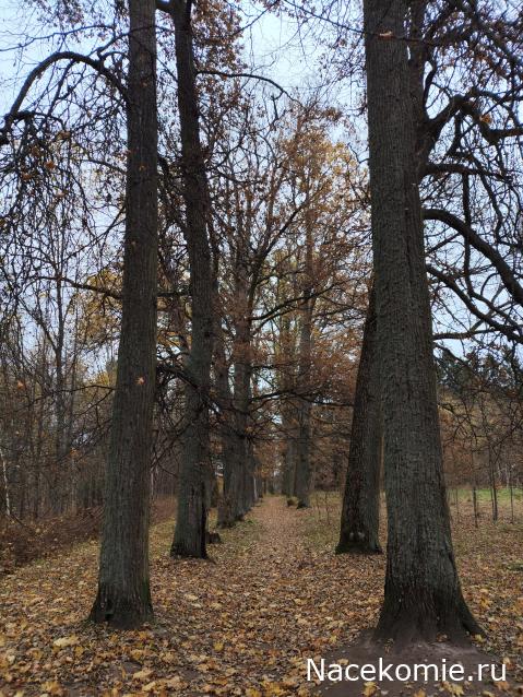 Мой любимый город или дорогие сердцу места