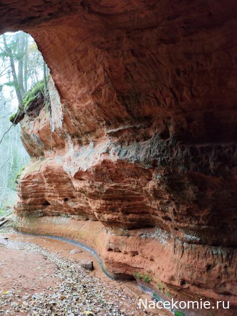 Мой любимый город или дорогие сердцу места