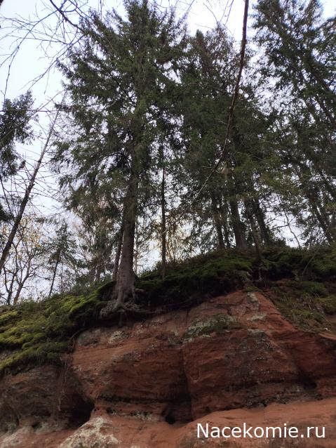 Мой любимый город или дорогие сердцу места